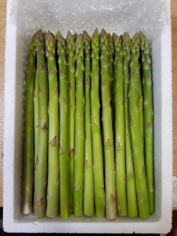 토고미 농장,토고미농장 생 아스파라거스 1kg, 500g